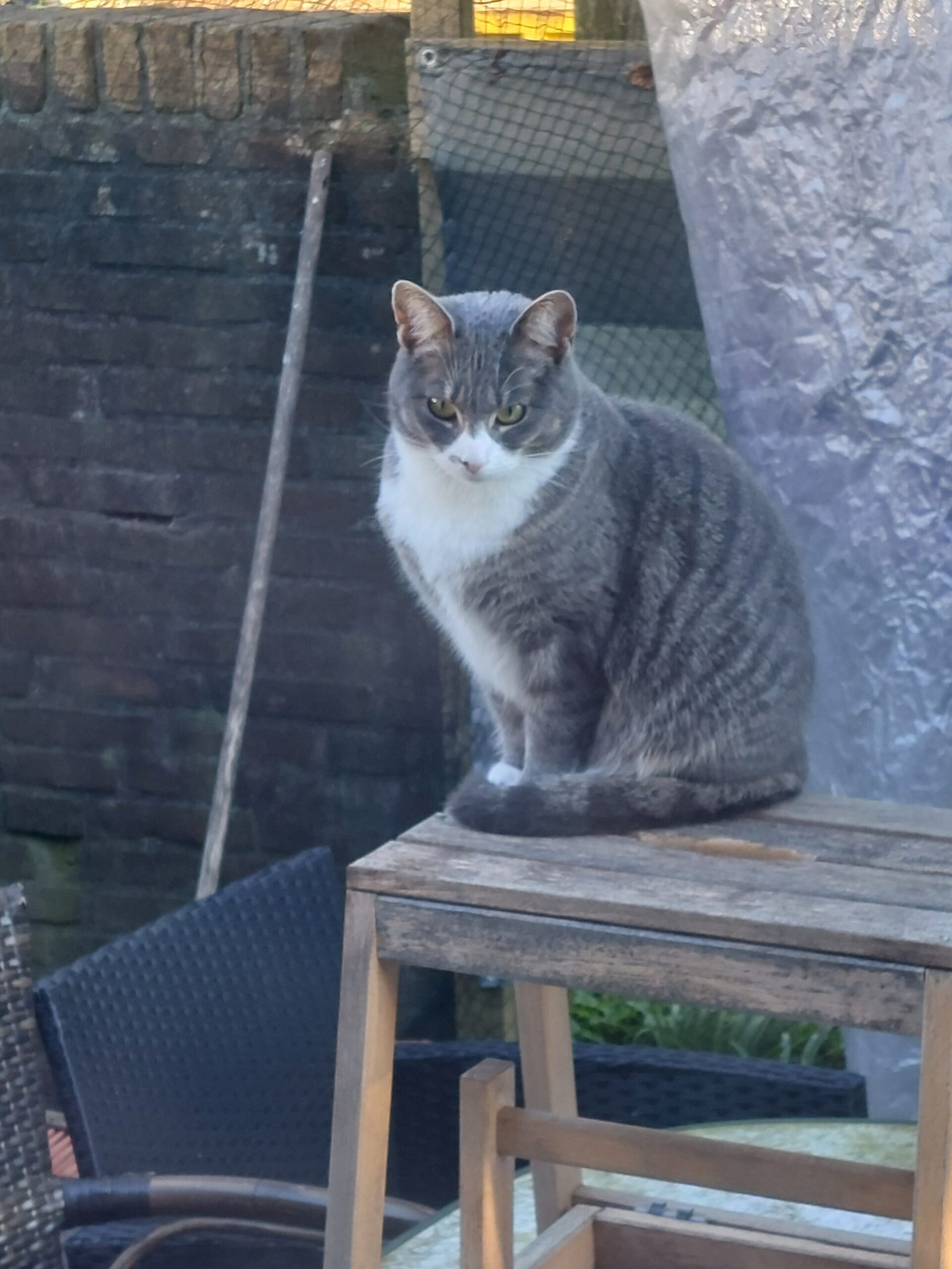 Mittwoch
