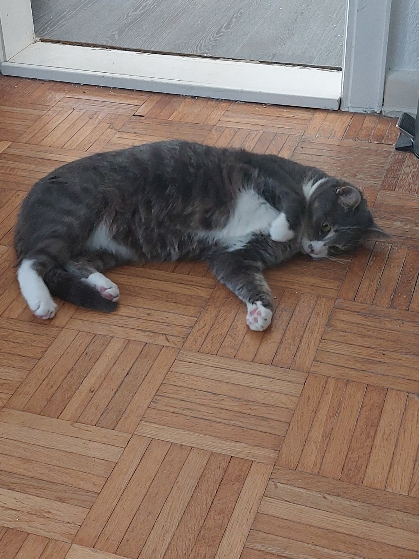 Montag