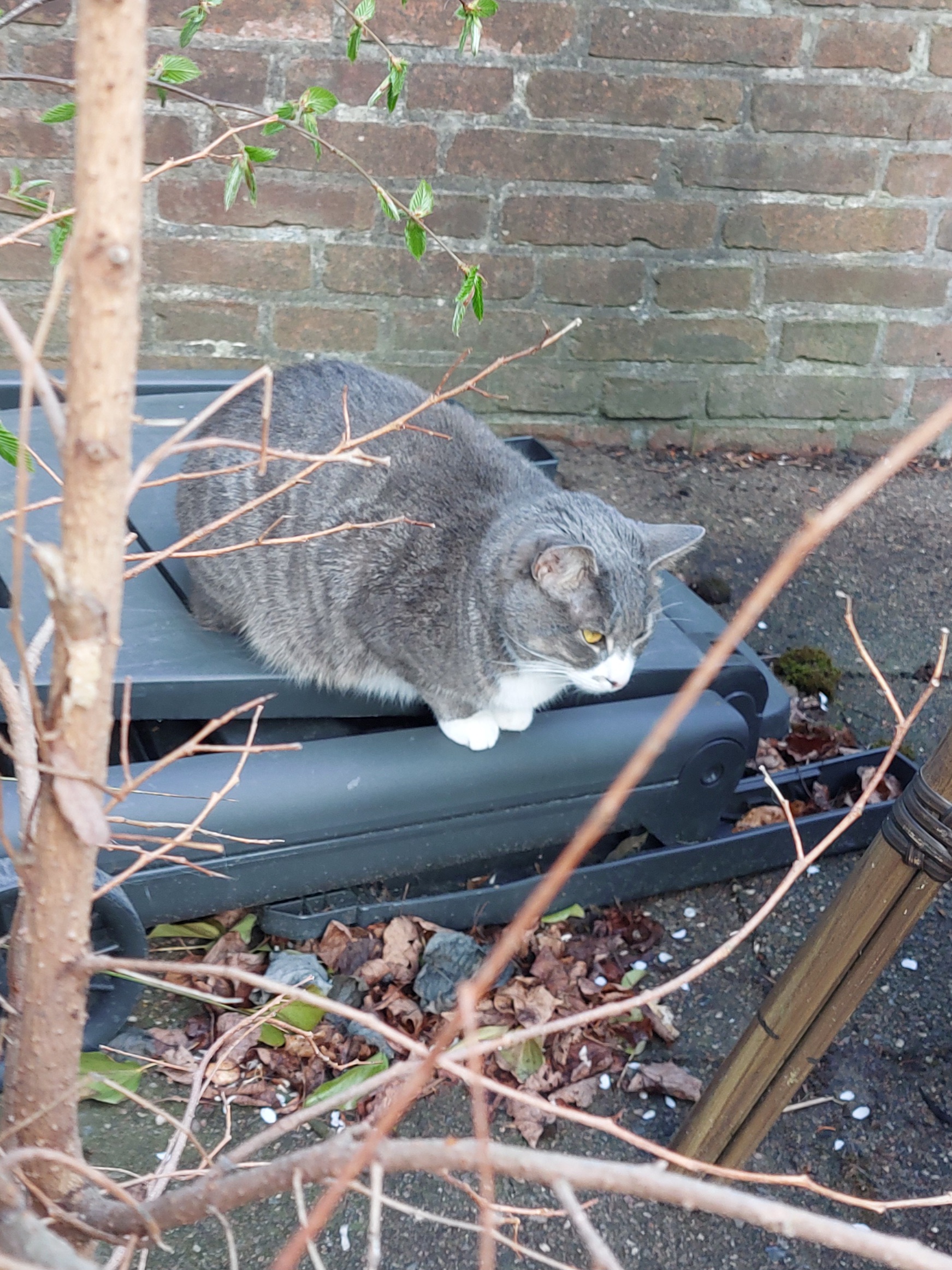 Sonntag