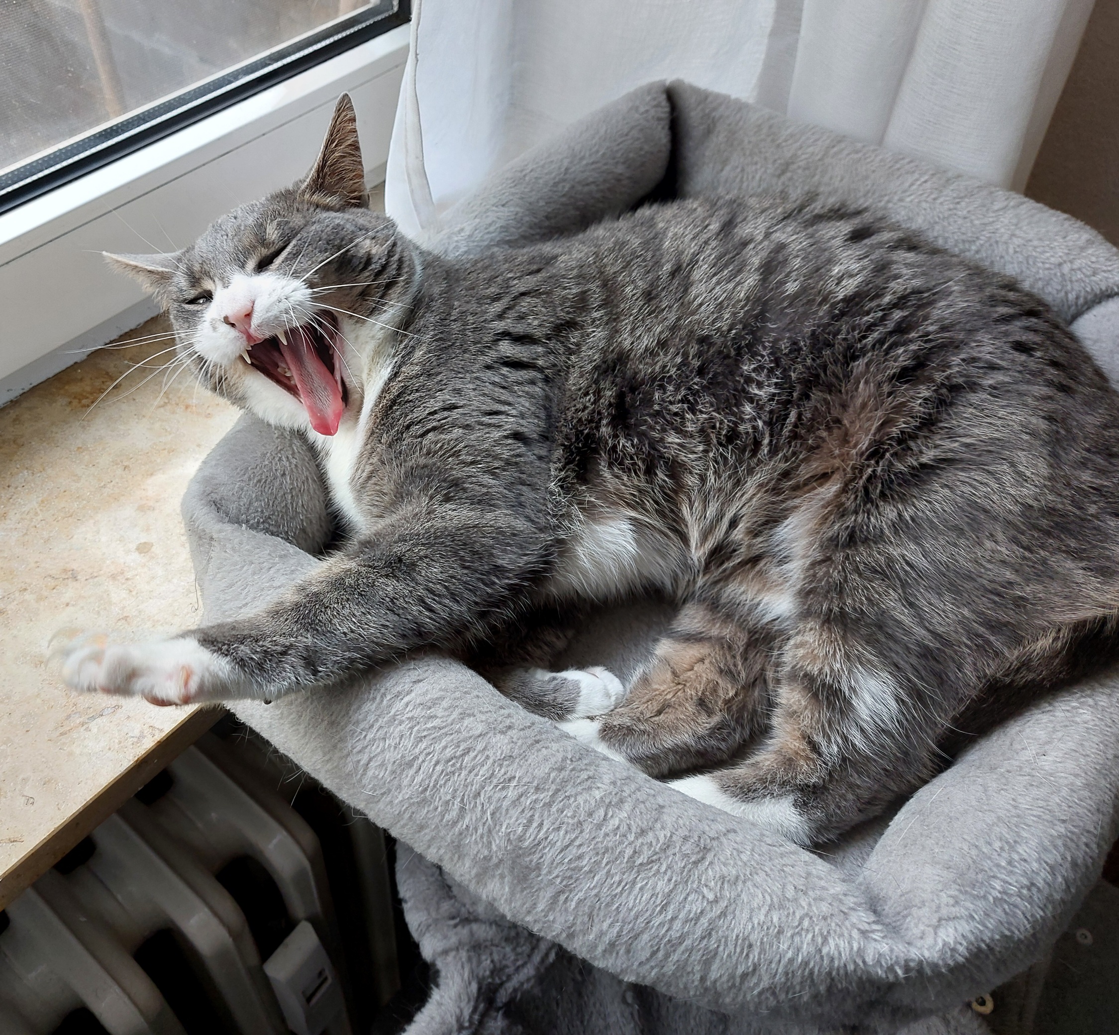 Dienstag