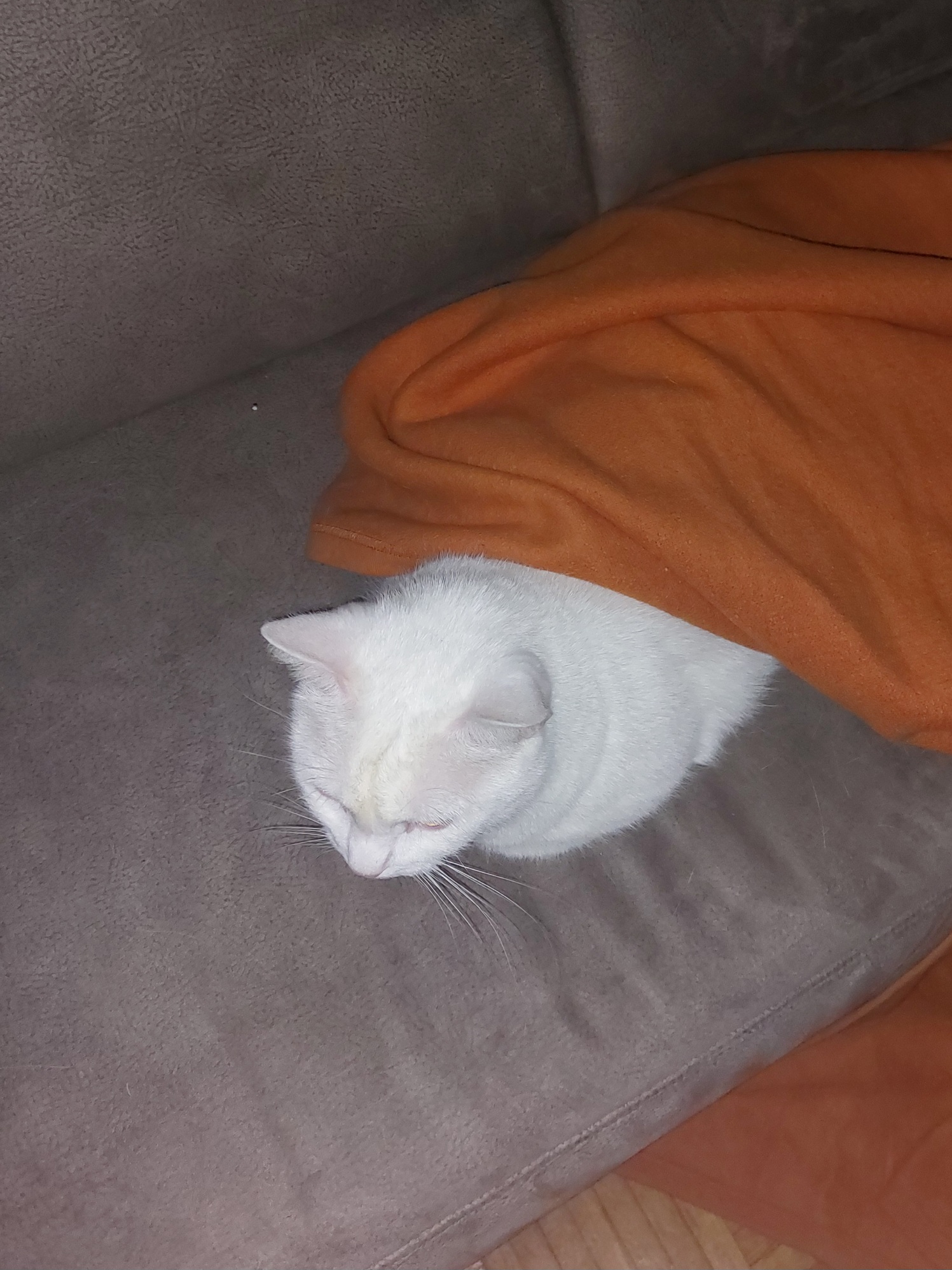 Dienstag