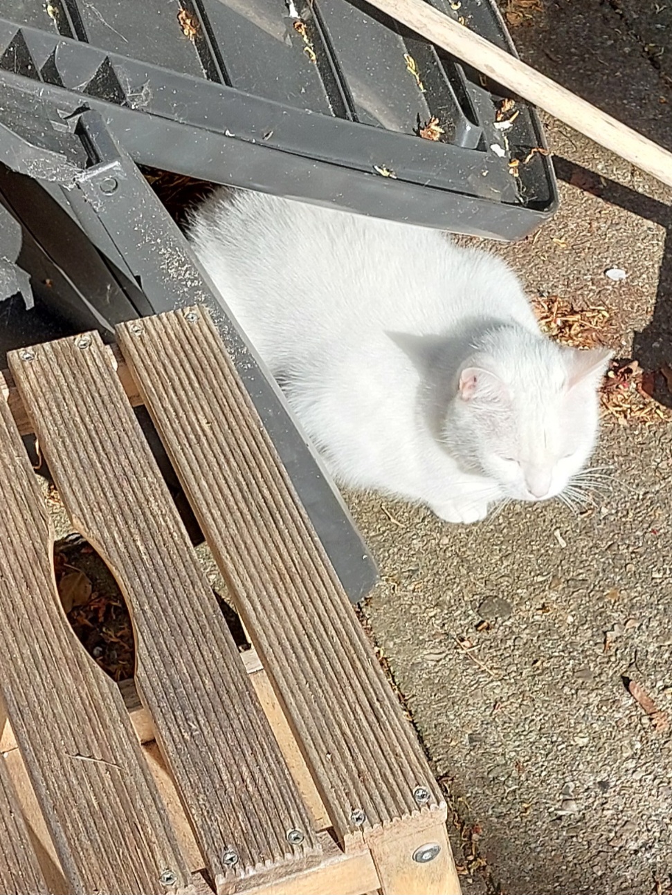 Donnerstag