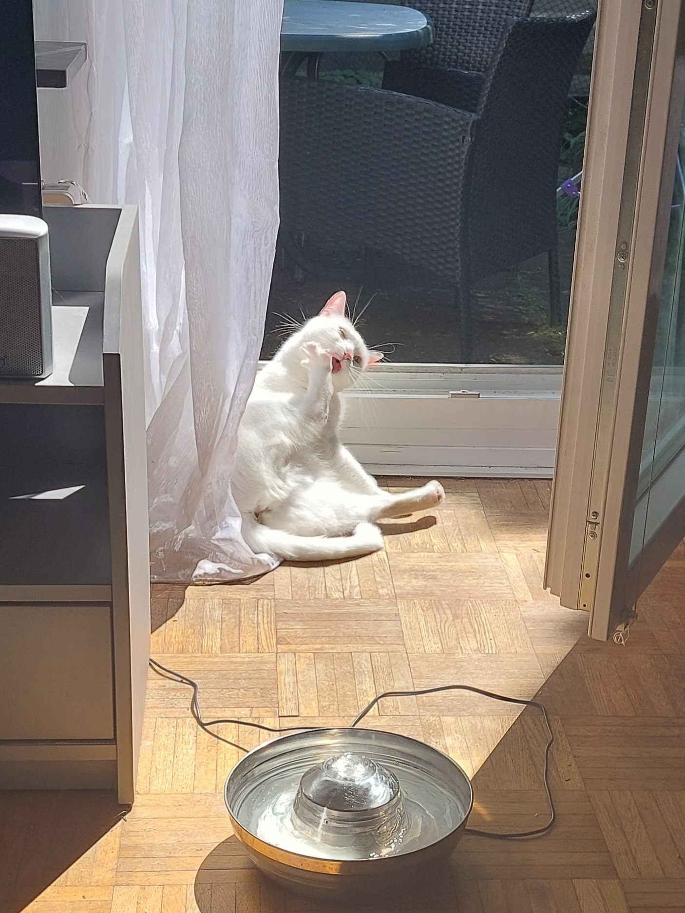Samstag