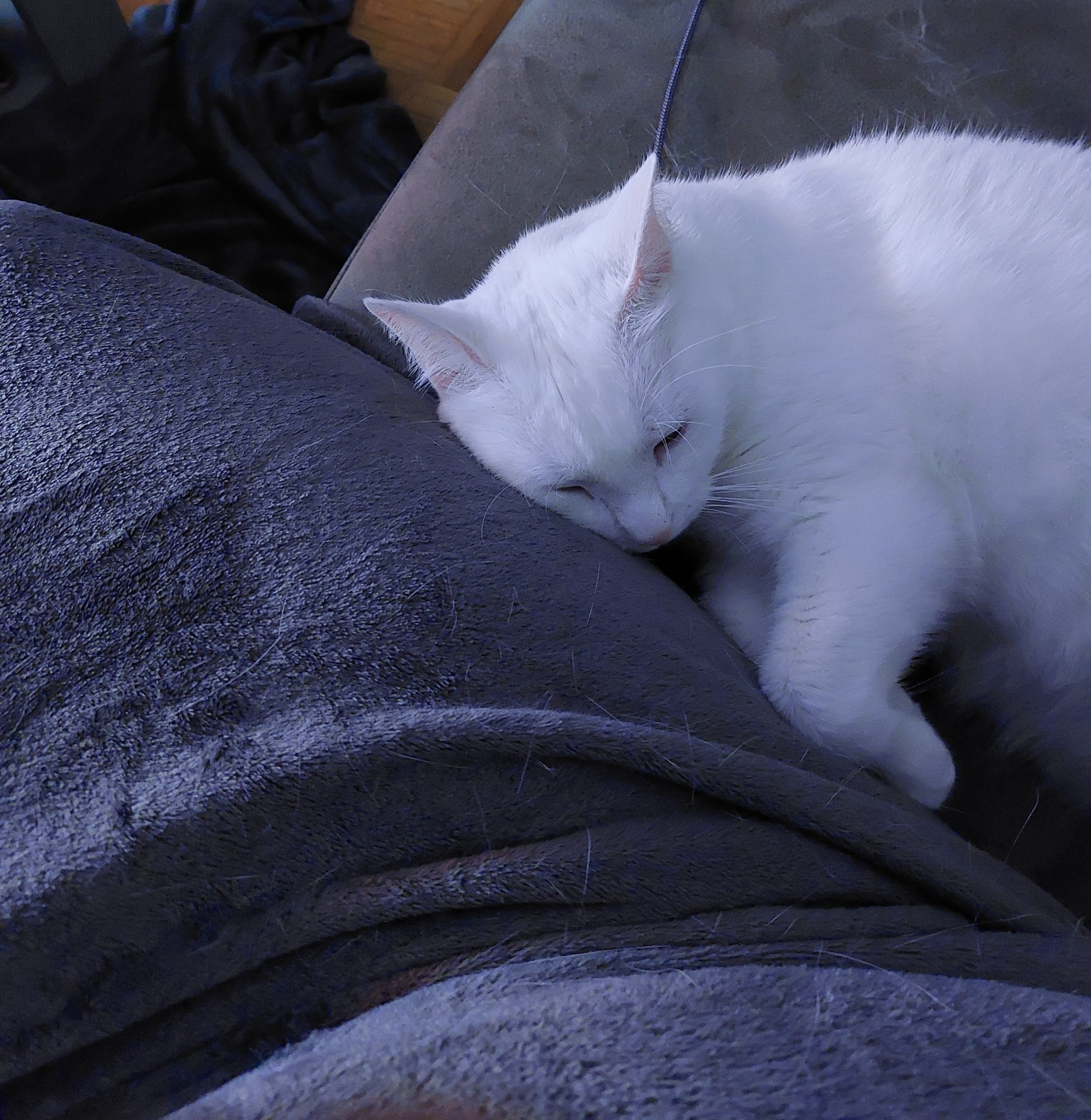 Samstag