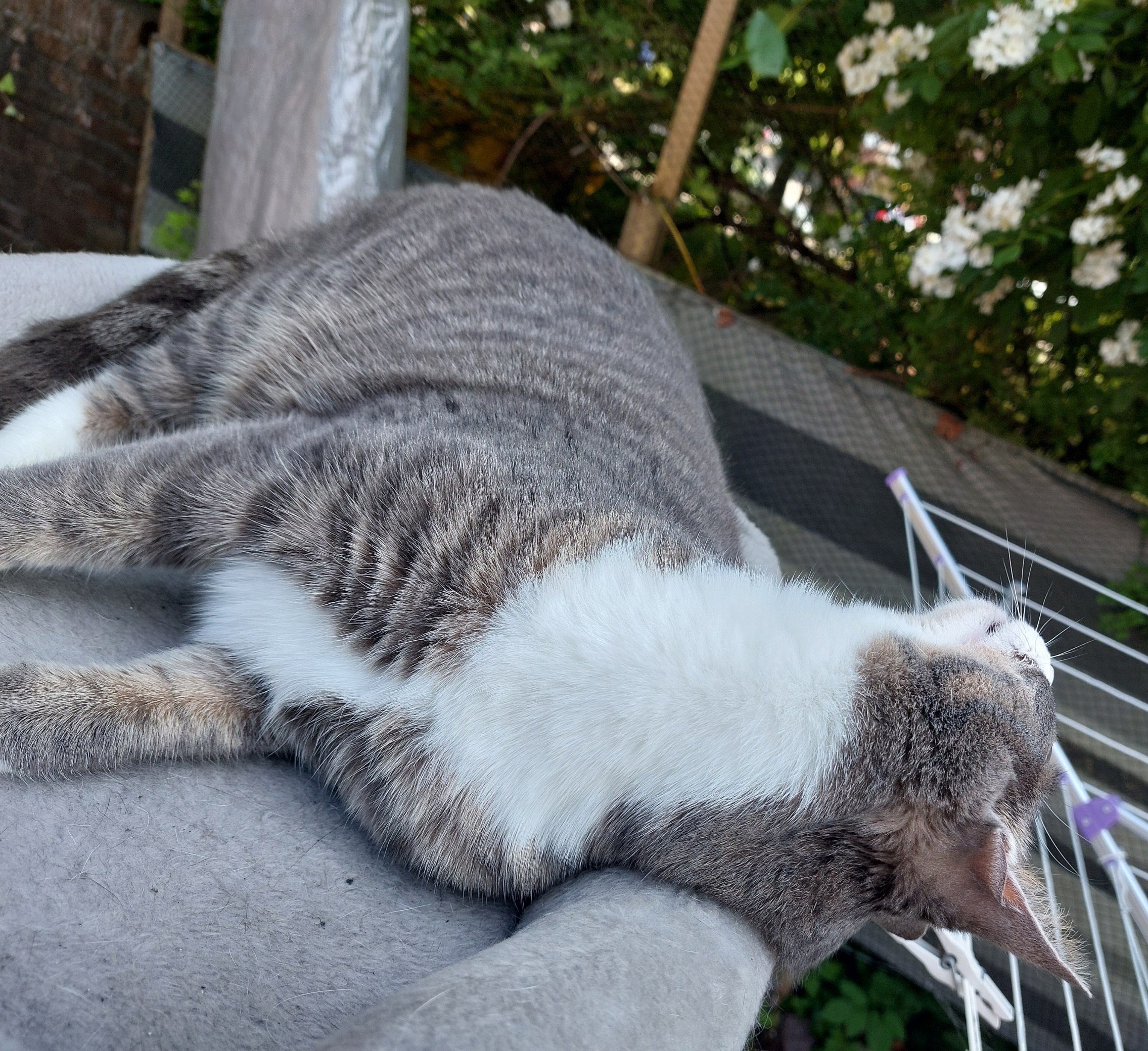 Freitag
