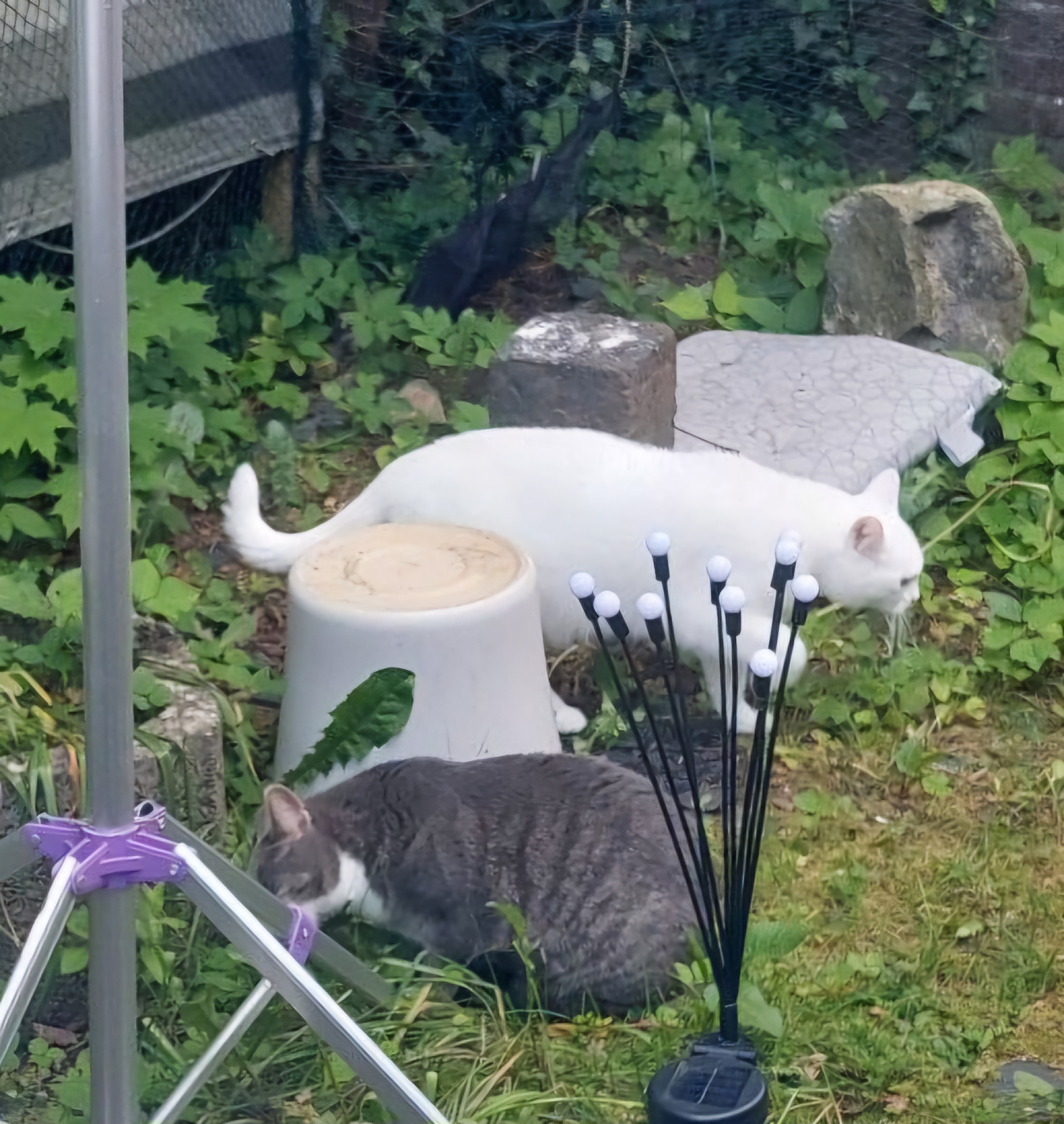 Dienstag